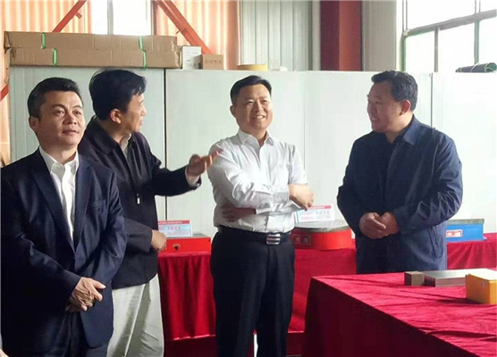 雷启军市长莅临我厂参观考察指导工作
