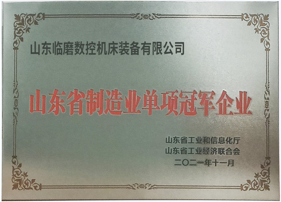 山东省制造业单项冠军企业